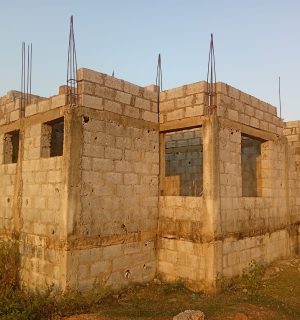 Fully Detached Duplex (Carcass Building)