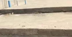DPC Carcass- 600sqm