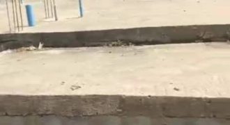 DPC Carcass- 600sqm