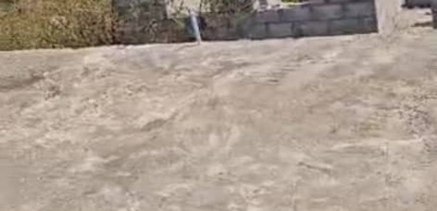 DPC Carcass- 600sqm