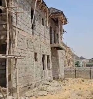 Fully Detached Duplex (Carcass Building)