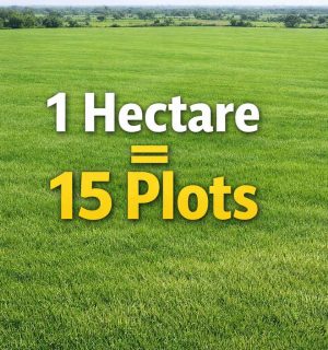 Hutu China Town-1 Hectare