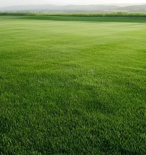 2 Hectares in Ketti-Pyakasa